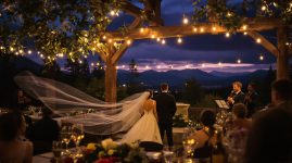 transparent performer fee structures