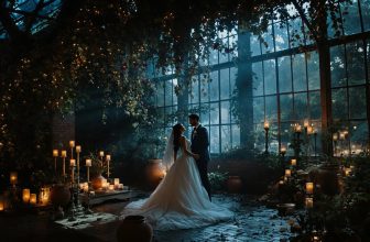 budget friendly dark romance