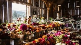 seasonal floral pricing dynamics