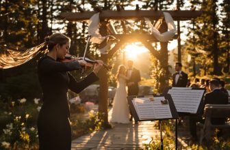 transparent fees for musicians