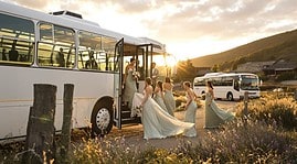 transparent shuttle pricing coordination