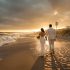 What Beach Wedding Permits Cost by State (2025 Pricing Guide)