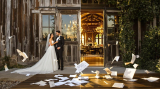 Barn Venue vs. Hotel Ballroom: Which Actually Costs Less? (The Math Might Surprise You)