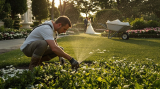 Why Garden Venues Charge More Than You’d Expect (The Real Cost of ‘Natural Beauty’)