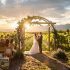 How to Plan a Vineyard Wedding Without Breaking Your Alcohol Budget