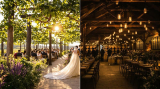 Vineyard Ceremony vs. Barrel Room Reception: Which Location Drives Better Value?