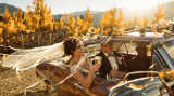 Wedding Transportation vs. Uber/Lyft: Which Costs Less and Handles Logistics Better?